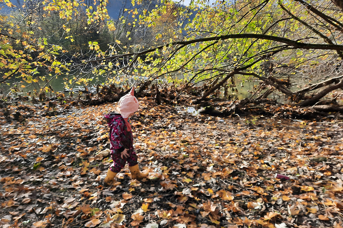 micro-crèche-bebes-chouettes-1200x800-16 micro-crèche-bebes-chouettes-1200x800-16