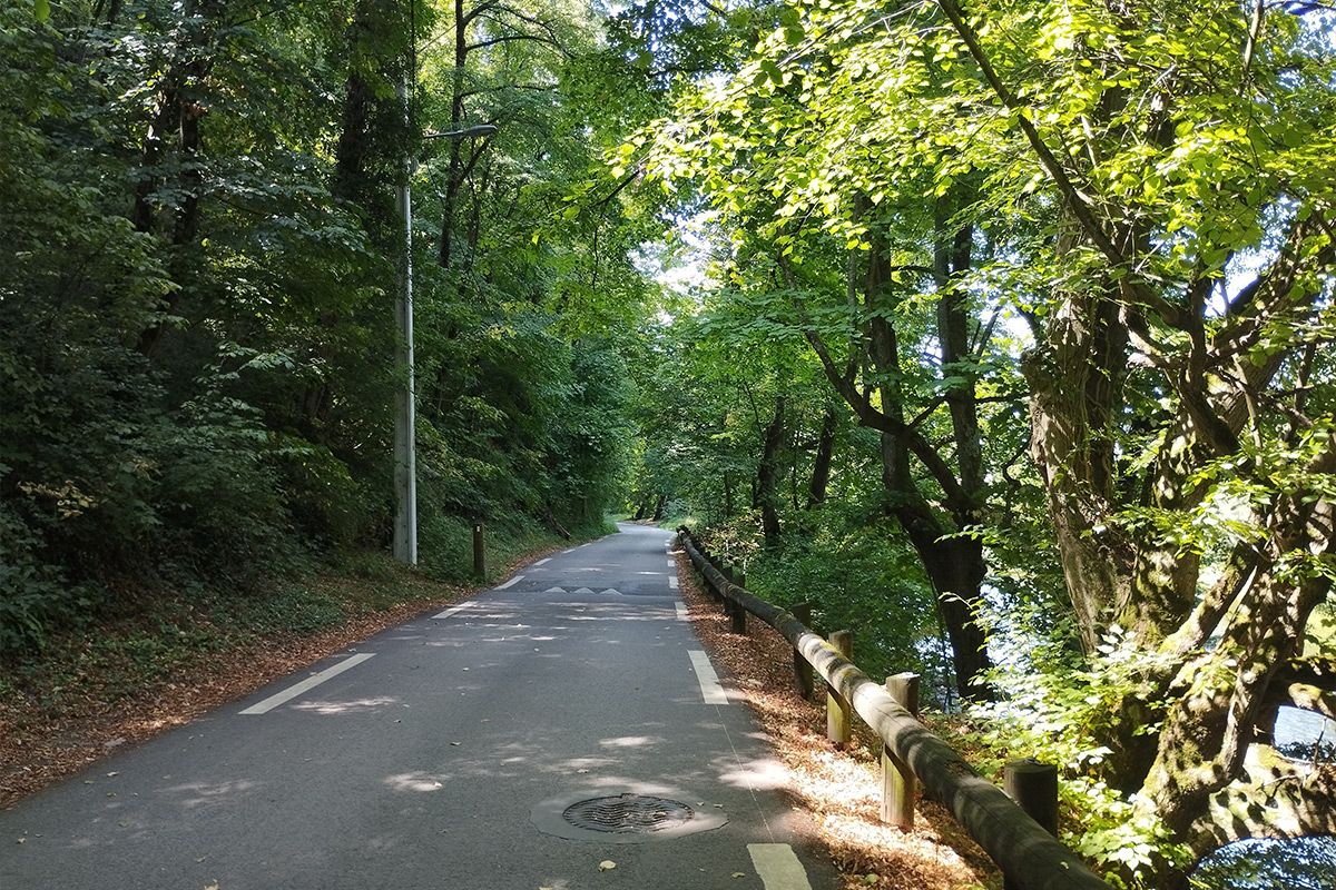 micro-crèche-bebes-chouettes-1200x800-3 micro-crèche-bebes-chouettes-1200x800-3